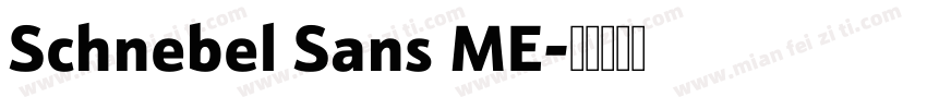 Schnebel Sans ME字体转换